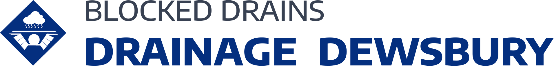 website logo